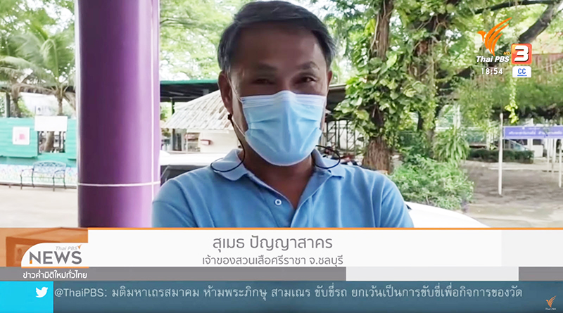 สวนเสือศรีราชาปิดกิจการ