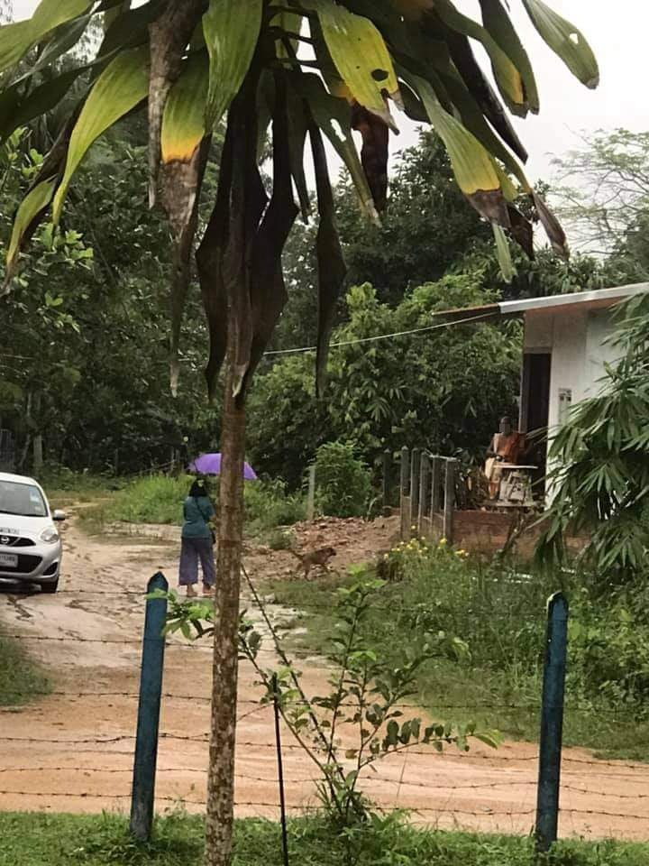 พระอยู่กับสีกา