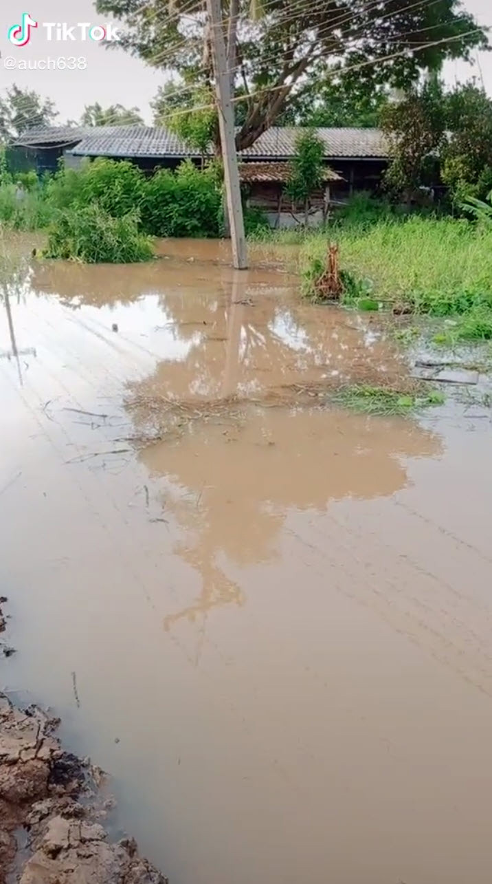 น้ำท่วม