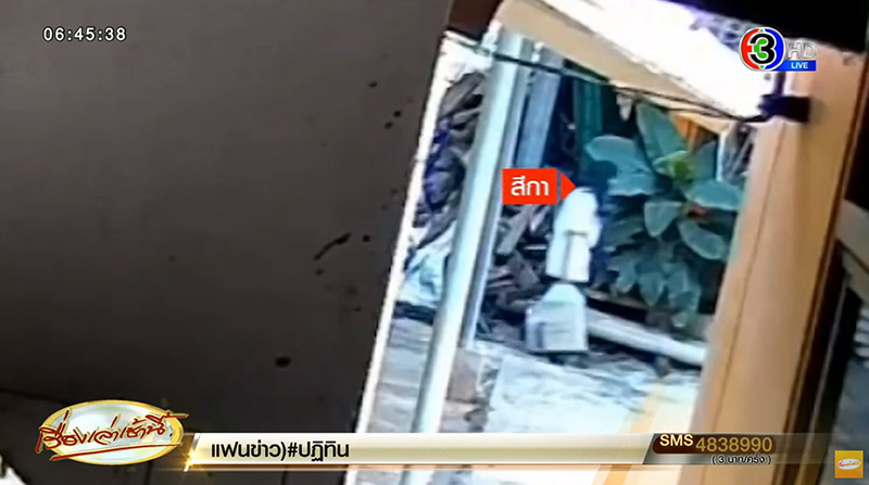 หมอปลาจับพระสึก