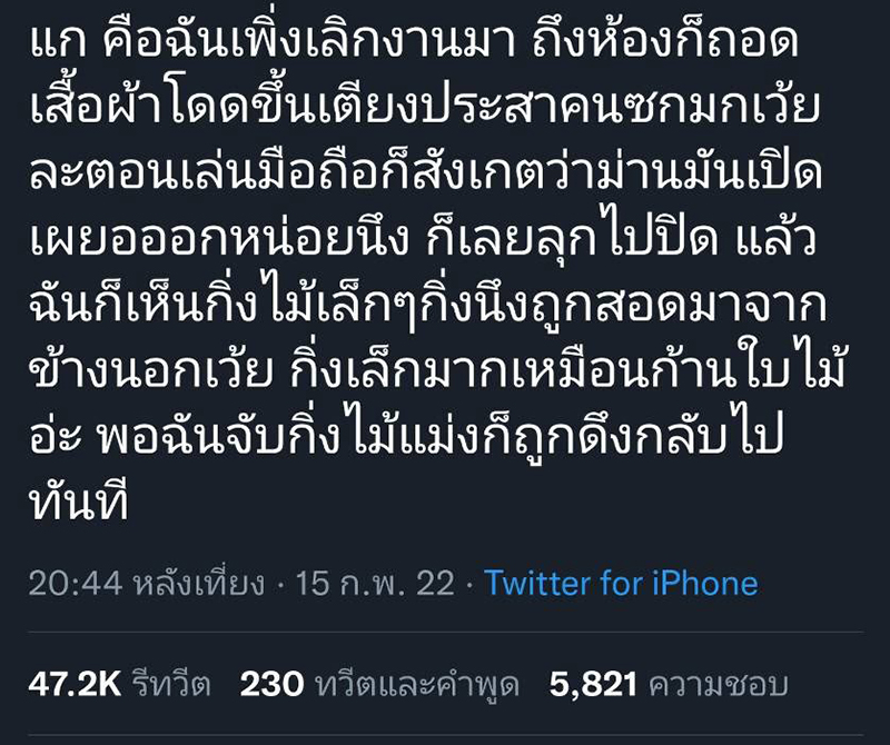 แอบดูผู้หญิง