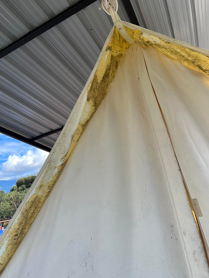 เต็นท์ขึ้นรา