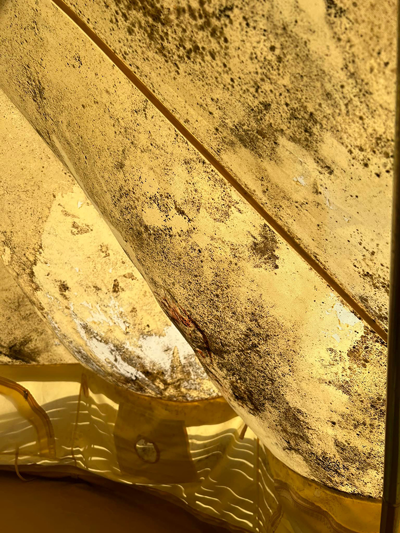 เต็นท์ขึ้นรา