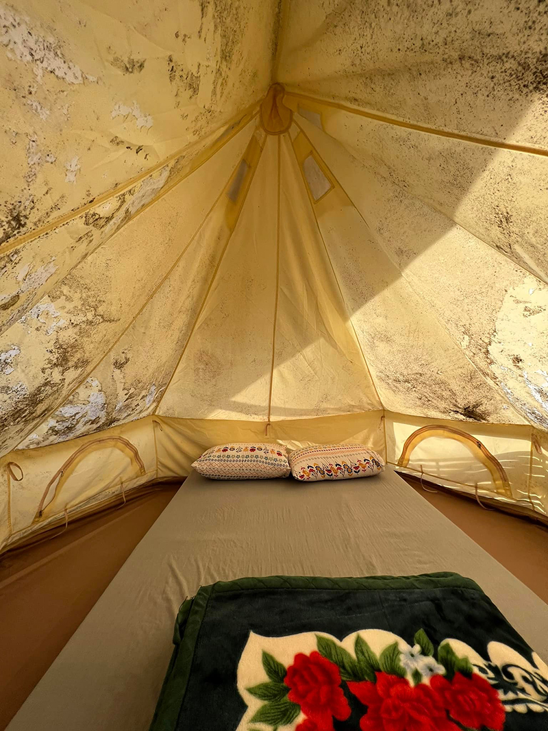 เต็นท์ขึ้นรา