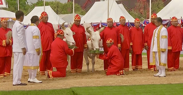 วันพืชมงคล 2562