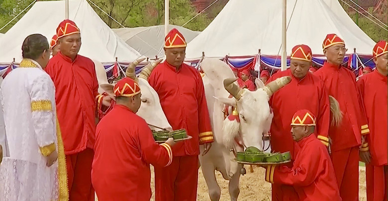 วันพืชมงคล 2562