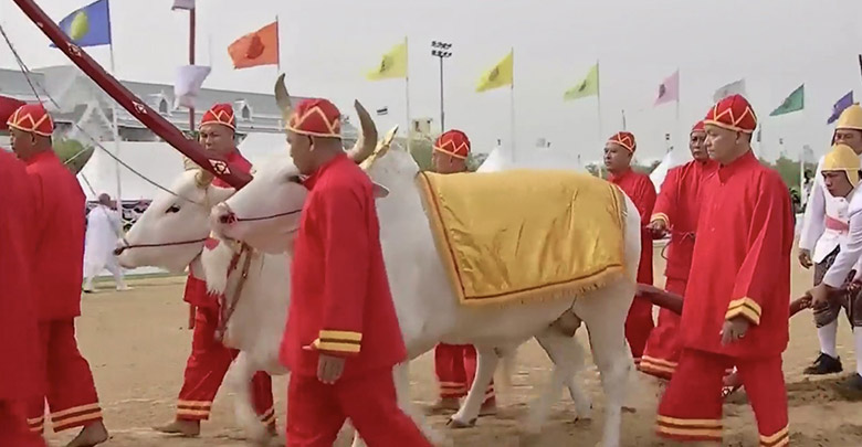 วันพืชมงคล 2562