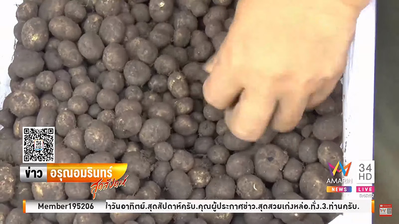 เห็ดเผาะ