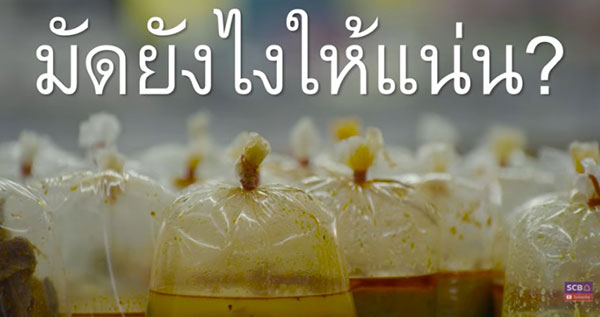 ธนาคารไทยพาณิชย์