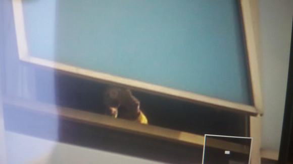 พสกนิกร..สุดปีติ ในหลวงทรงโบกพระหัตถ์ จาก รพ.ศิริราช 