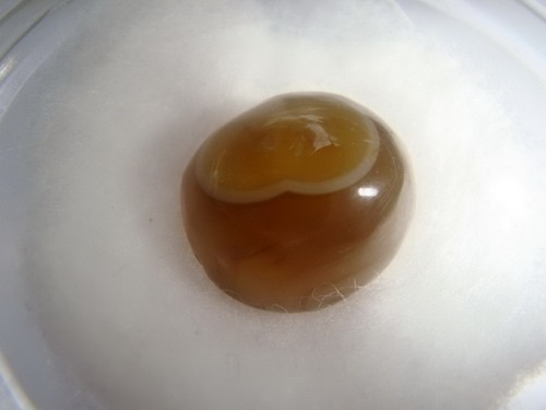 เพชรตาแมว