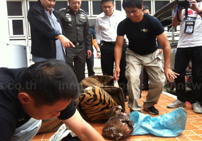 กองปราบ จับซากเสือแช่แข็ง เตรียมส่งขายจีน