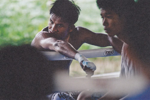 ชีวิตข้างสังเวียนของบัวขาว จากมุมมองของเพื่อนซี้