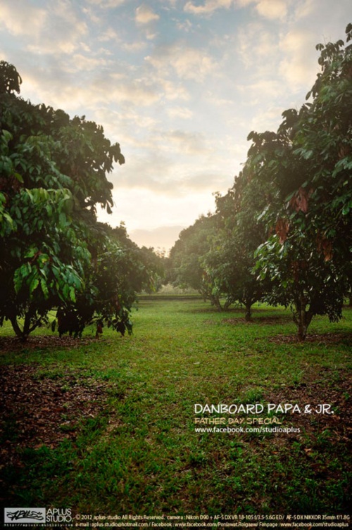 พ่อครับ ผมรักพ่อ...เรื่องราวซึ้ง ๆ จากภาพถ่ายอันแสนอบอุ่น 