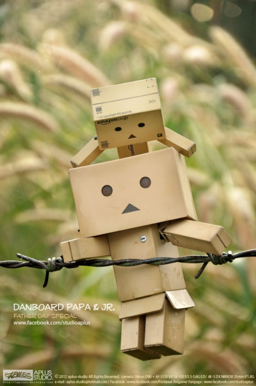 พ่อครับ ผมรักพ่อ...เรื่องราวซึ้ง ๆ จากภาพถ่ายอันแสนอบอุ่น 