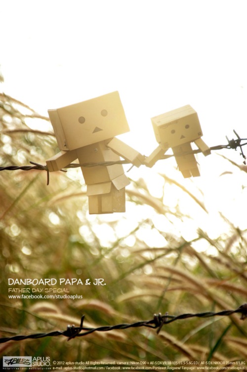 พ่อครับ ผมรักพ่อ...เรื่องราวซึ้ง ๆ จากภาพถ่ายอันแสนอบอุ่น 