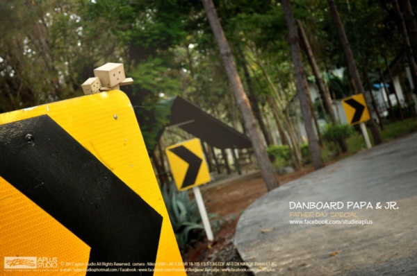 พ่อครับ ผมรักพ่อ...เรื่องราวซึ้ง ๆ จากภาพถ่ายอันแสนอบอุ่น 