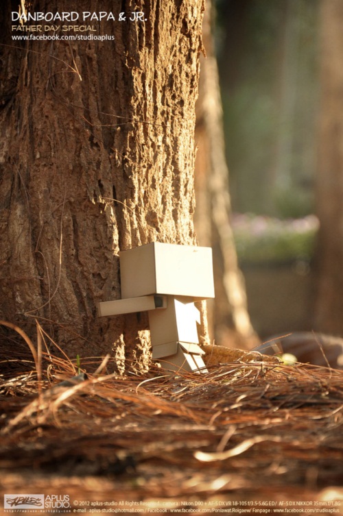 พ่อครับ ผมรักพ่อ...เรื่องราวซึ้ง ๆ จากภาพถ่ายอันแสนอบอุ่น 