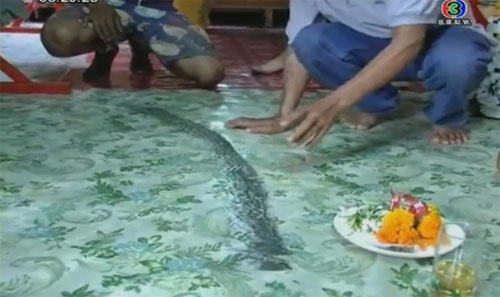 เจออีก! เกลียวคลื่นคล้ายพญานาค โผล่หนองหาน