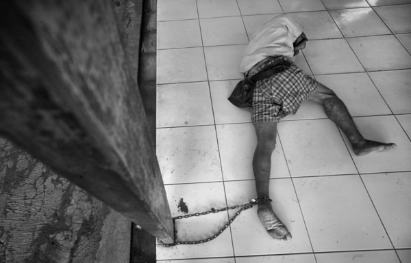 ภาพเสือไทยสะบัดน้ำ คว้าสุดยอดภาพถ่ายจาก National Geographic 2012