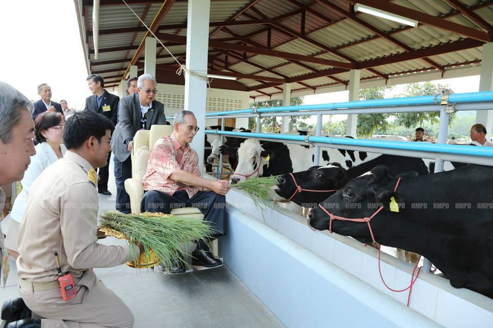 ในหลวง เสด็จฯ ทอดพระเนตรโครงการชั่งหัวมัน เพชรบุรีในหลวง เสด็จฯ ทอดพระเนตรโครงการชั่งหัวมัน เพชรบุรี