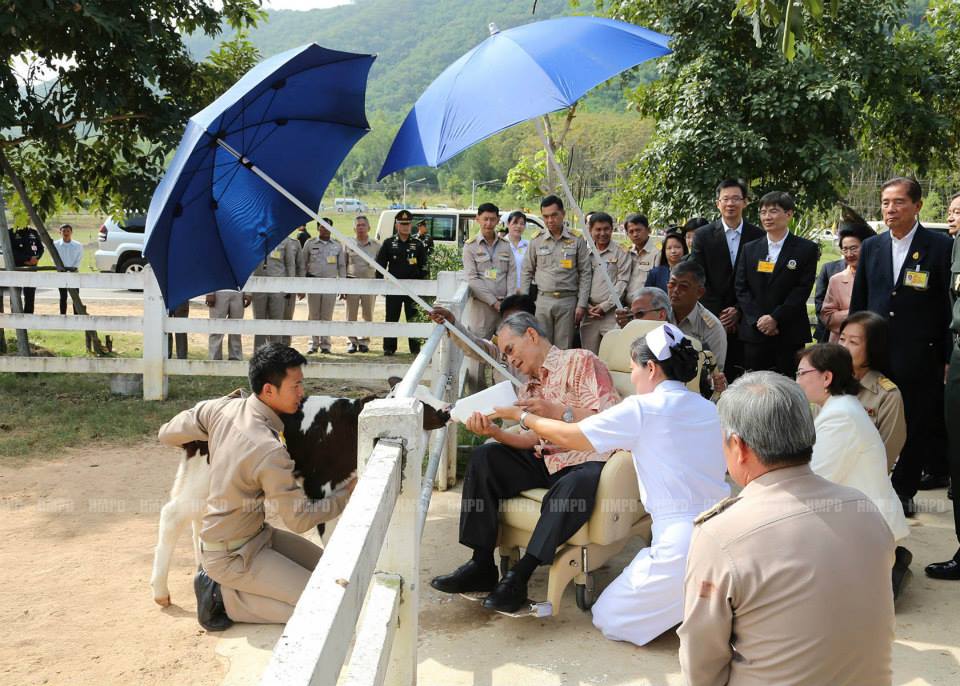 ในหลวง เสด็จฯ ทอดพระเนตรโครงการชั่งหัวมัน เพชรบุรี