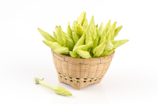 ดอกชมจันทร์ ไม้ประดับกินได้ มากคุณค่าทางโภชนาการ