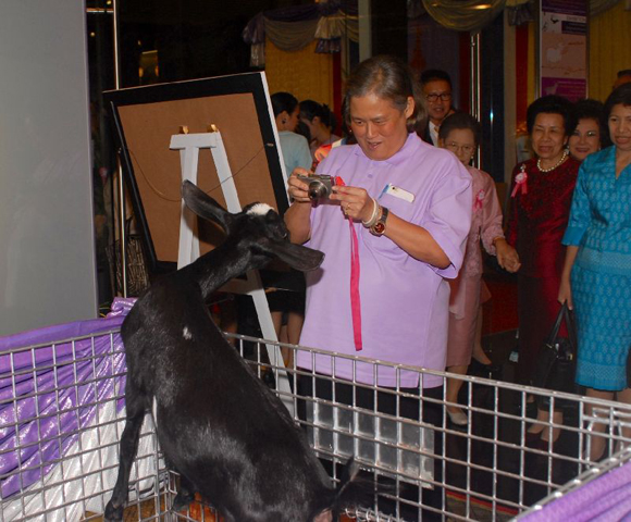 สมเด็จพระเทพฯ พระราชทาน ส.ค.ส. ปี 58 