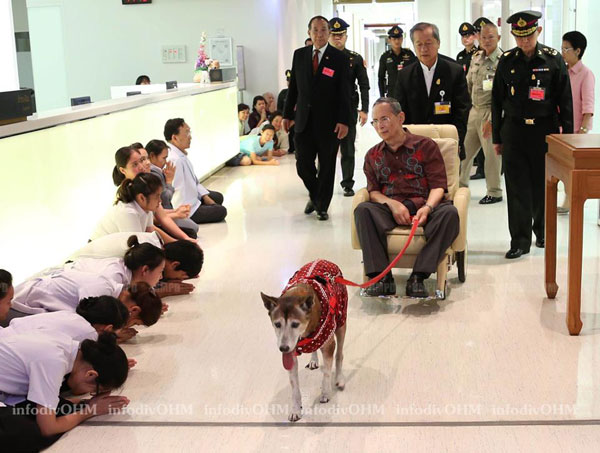 ในหลวง เสด็จทอดพระเนตรริมเจ้าพระยา