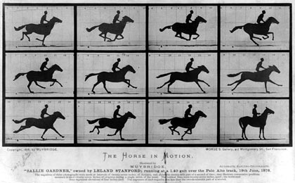 าพถ่ายต่อเนื่องชุดแรกของโลก โดยฝีมือ Eadweard Muybridge