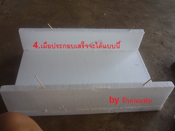 ง่ายจริงนะ! ปลูกผักไฮโดรโปนิกส์ปลอดสารพิษด้วยตัวเอง 