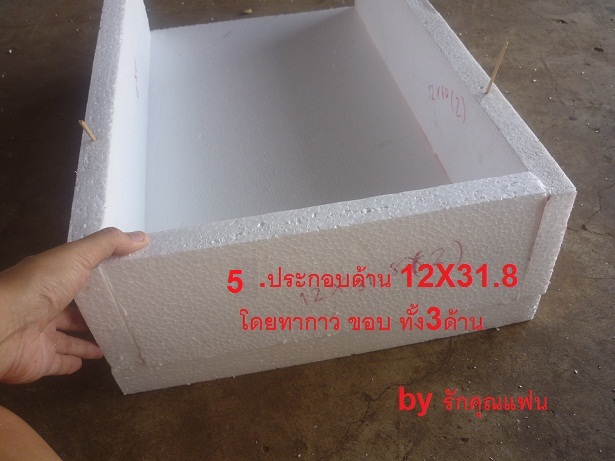 ง่ายจริงนะ! ปลูกผักไฮโดรโปนิกส์ปลอดสารพิษด้วยตัวเอง 