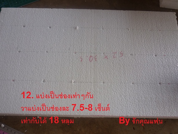 ง่ายจริงนะ! ปลูกผักไฮโดรโปนิกส์ปลอดสารพิษด้วยตัวเอง 