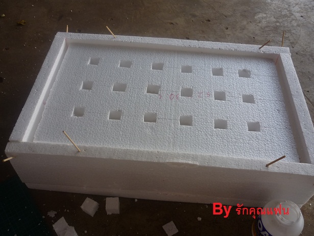 ง่ายจริงนะ! ปลูกผักไฮโดรโปนิกส์ปลอดสารพิษด้วยตัวเอง 