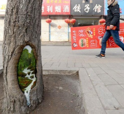 สาวจีนวาดภาพลงในโพรงไม้ เติมชีวิต-สร้างสีสันแก่ชาวเมือง