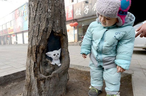 สาวจีนวาดภาพลงในโพรงไม้ เติมชีวิต-สร้างสีสันแก่ชาวเมือง