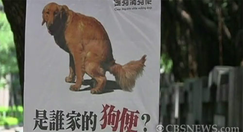 ไต้หวันเร่งขยายนโยบายเก็บขี้หมาลุ้นทอง