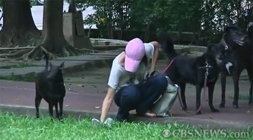 ไต้หวันเร่งขยายนโยบายเก็บขี้หมาลุ้นทอง