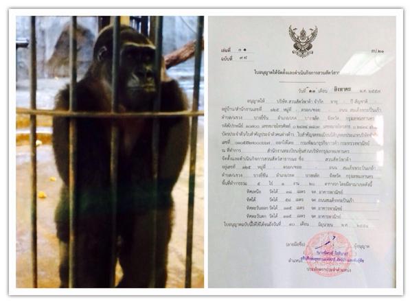 พาต้า ปิ่นเกล้า 