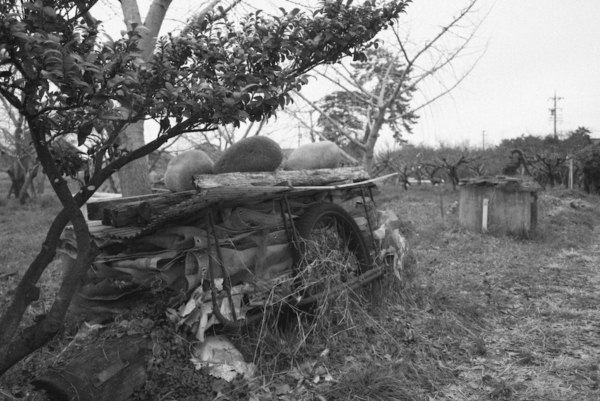 33 ภาพเกาะฮาชิมะ ฉบับขาว-ดำ กับบรรยากาศสวยงามปนหลอน 