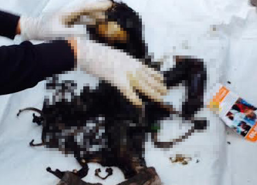 คุมตัวตาโหด ฆ่าน้องวิศ หลานชายวัย 2 ขวบ ทำแผน หวิดถูกประชาทัณฑ์