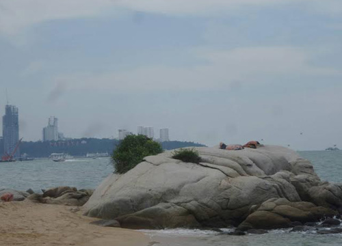 โซเชียลยกนิ้ว ฝรั่งเก็บขยะริมหาดวงศ์อมาตย์ อยากทำประโยชน์ให้เมืองไทย