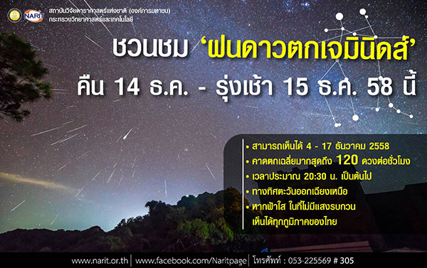 ฝนดาวตกเจมินิดส์