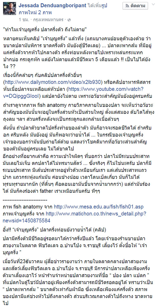 ปลาตัวขาดครึ่งท่อน