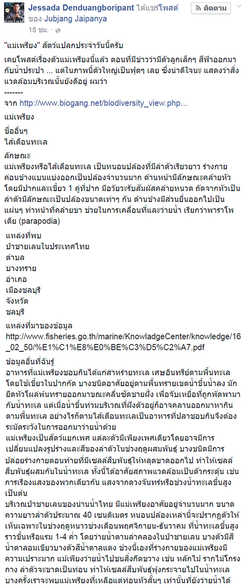 ขนลุก ! สิ่งมีชีวิตประหลาดลอยเหนือน้ำเกลื่อน ชาวเน็ตสงสัยเป็นตัวอะไร ? ขนลุก ! สิ่งมีชีวิตประหลาดลอยเหนือน้ำเกลื่อน ชาวเน็ตสงสัยเป็นตัวอะไร ?