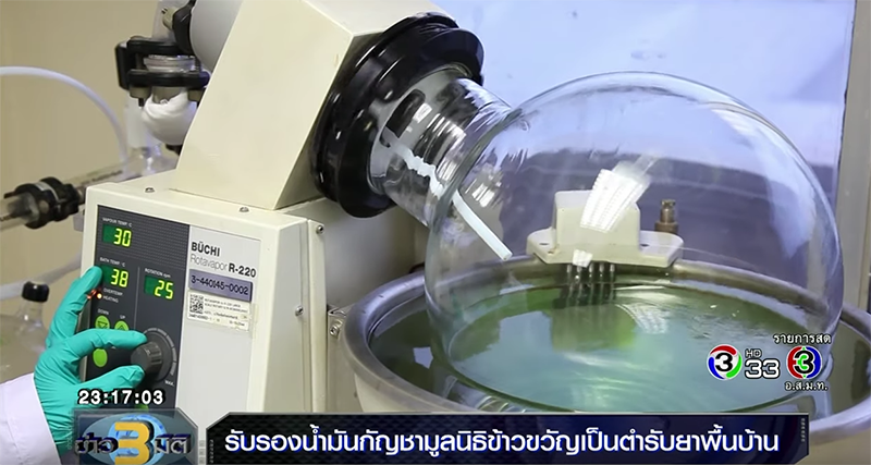 น้ำมันกัญชา