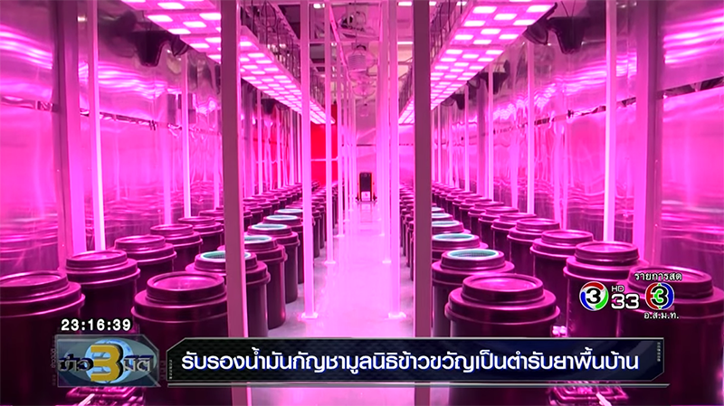 น้ำมันกัญชา