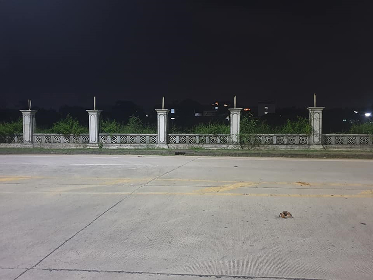 หนุ่ม Grab เล่านาทีเจอ Crab ปูไก่ท้องแก่ พาขึ้นรถข้ามเมืองไปปล่อยป่าชายเลน