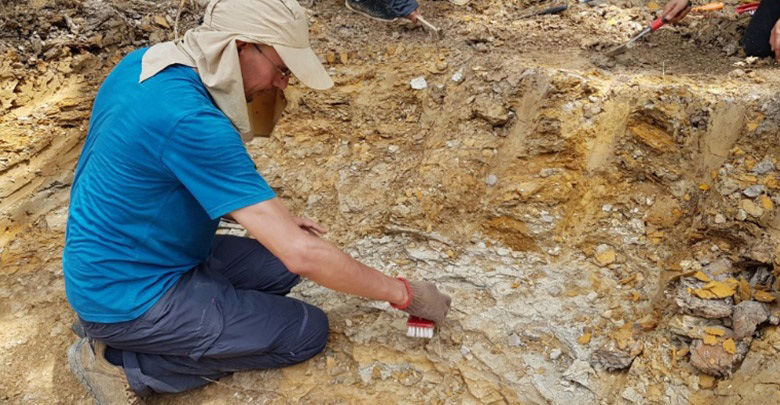 นักวิจัยลงสำรวจเพชรบูรณ์ ขุดพบฟอสซิลปลาอายุ 15 ล้านปี ชี้ เคยเป็นทะเลสาบน้ำจืด