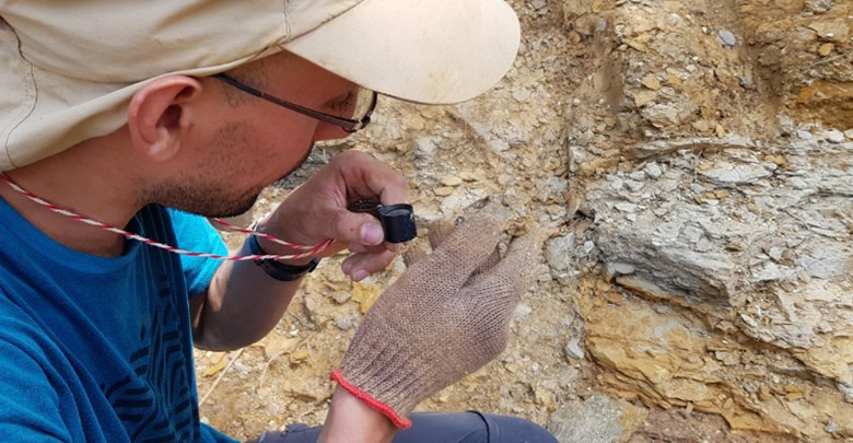 นักวิจัยลงสำรวจเพชรบูรณ์ ขุดพบฟอสซิลปลาอายุ 15 ล้านปี ชี้ เคยเป็นทะเลสาบน้ำจืด